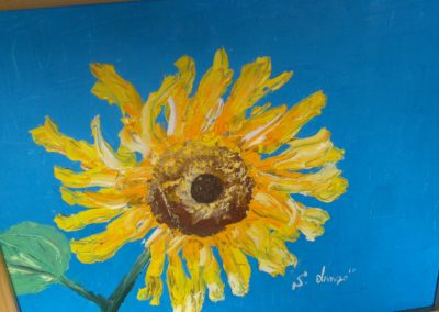 girasole 40x50