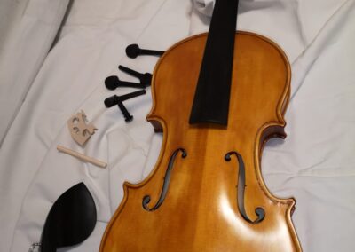 Violino